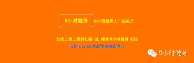 健身椅推荐_健身椅品牌_健身椅子