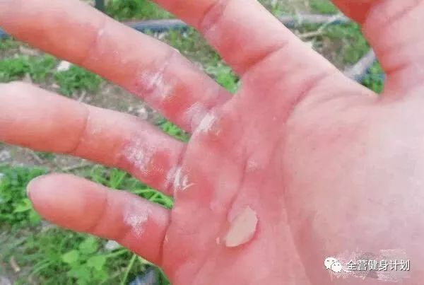 最好的健身手套_健身手套作用_健身的手套