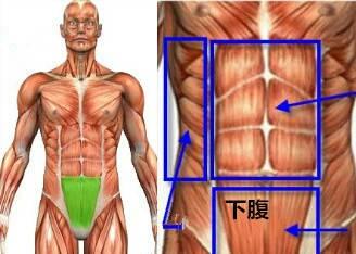 健身椅练腹肌_健身房腹肌椅怎么用_用椅子练腹肌视频教程