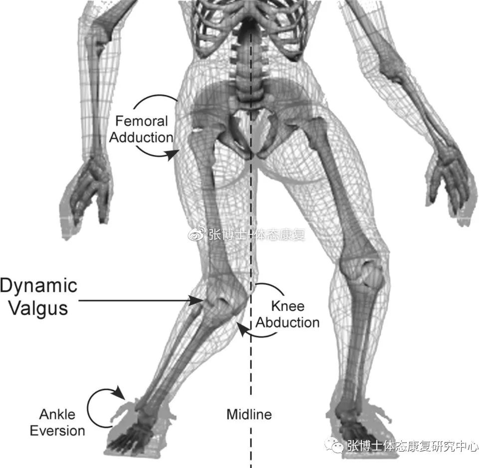 健身椅子使用方法视频_健身椅训练动作_健身椅使用方法