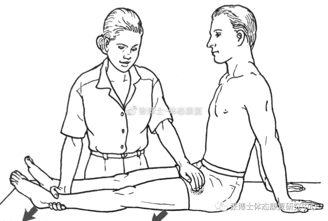 健身椅子使用方法视频_健身椅训练动作_健身椅使用方法