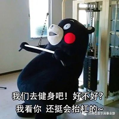 开yun体育app官方下载入口 【实用分享】健身小白入门指南（浅谈）