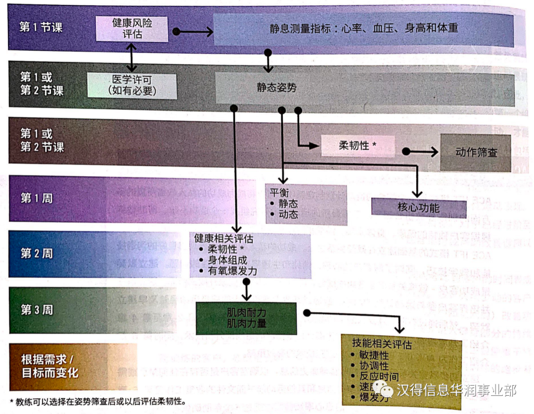 什么牌子的健身手套好_哪个品牌的健身手套好_手套牌子健身好吗