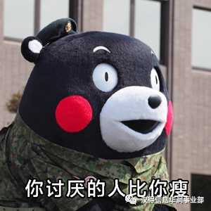 什么牌子的健身手套好_哪个品牌的健身手套好_手套牌子健身好吗