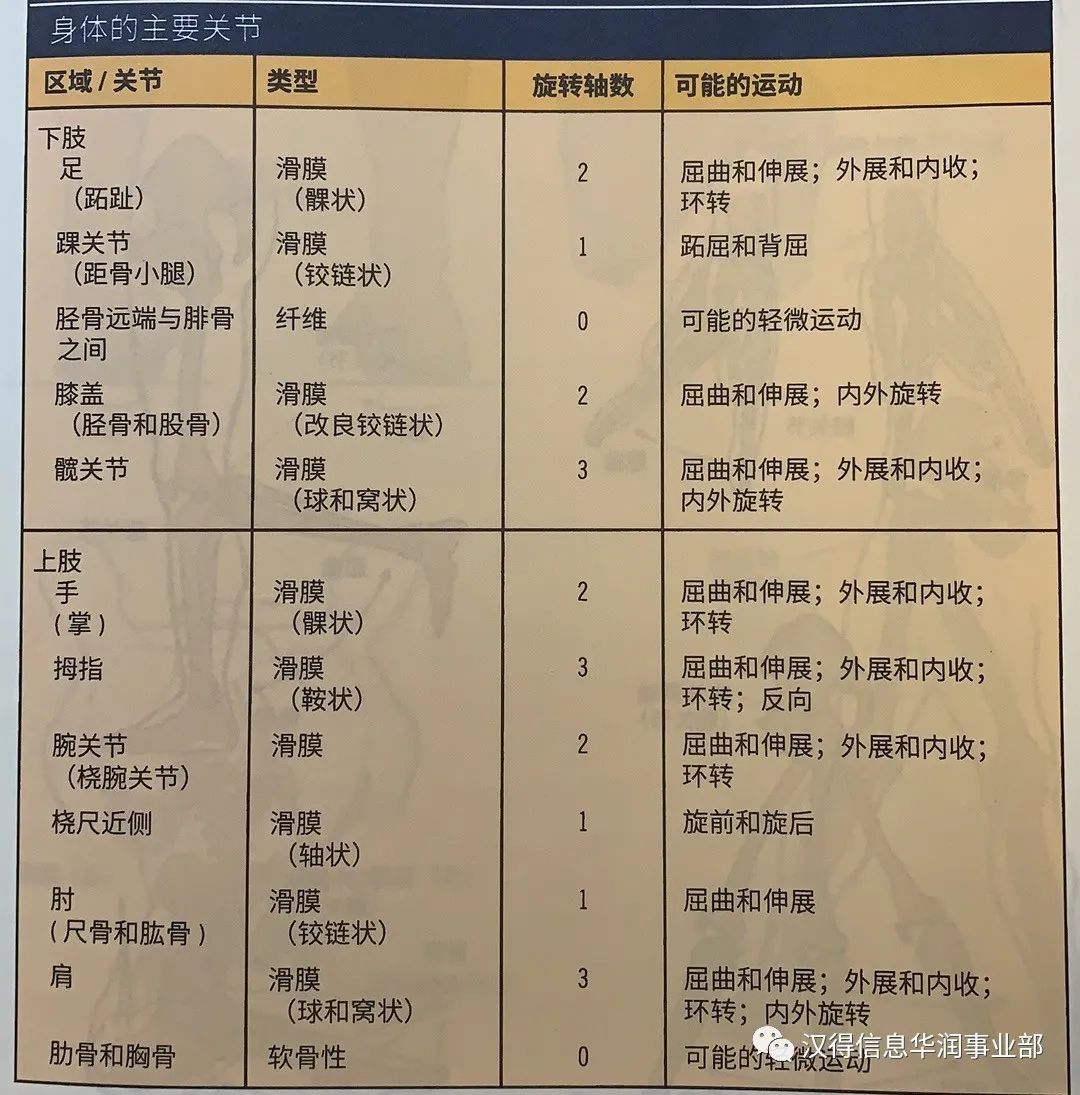 哪个品牌的健身手套好_什么牌子的健身手套好_手套牌子健身好吗