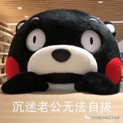 哪个品牌的健身手套好_手套牌子健身好吗_什么牌子的健身手套好