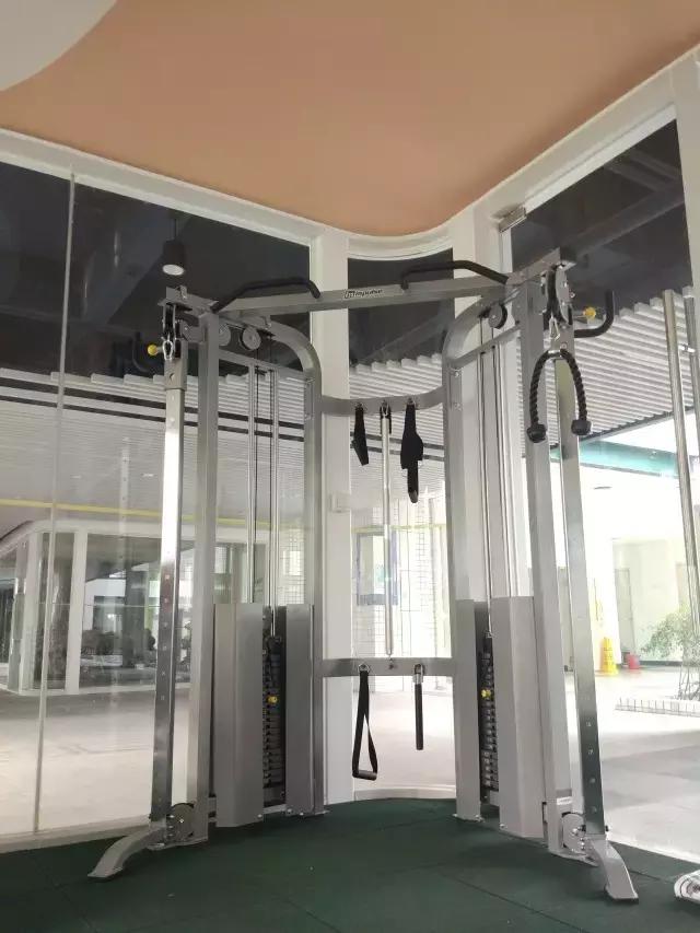 健身飞鸟动作视频频教学_健身房飞鸟动作怎么做_飞鸟健身椅