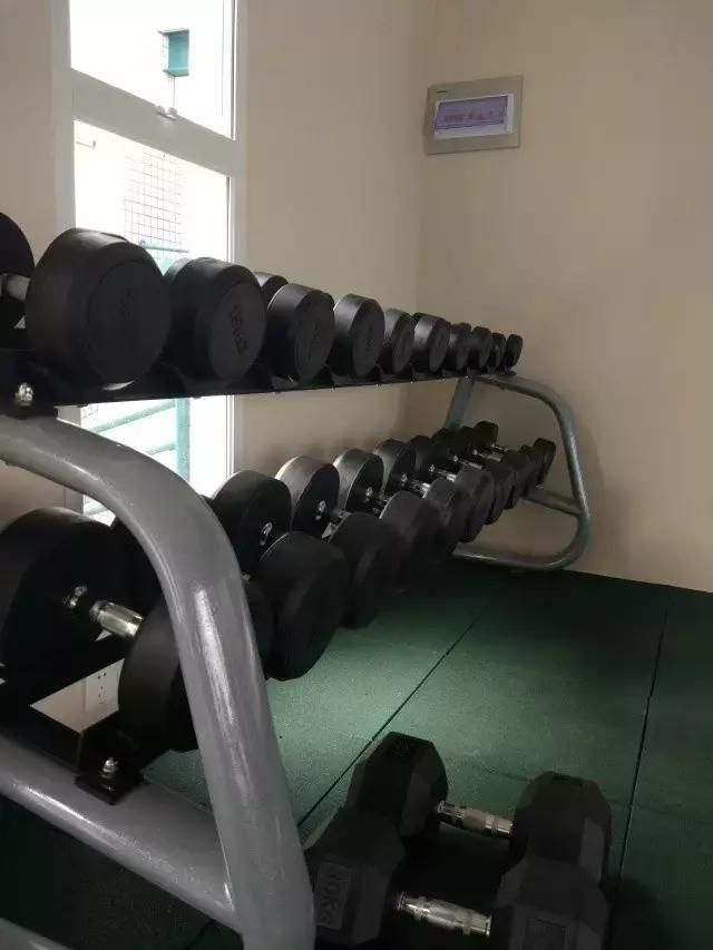 健身飞鸟动作视频频教学_健身房飞鸟动作怎么做_飞鸟健身椅