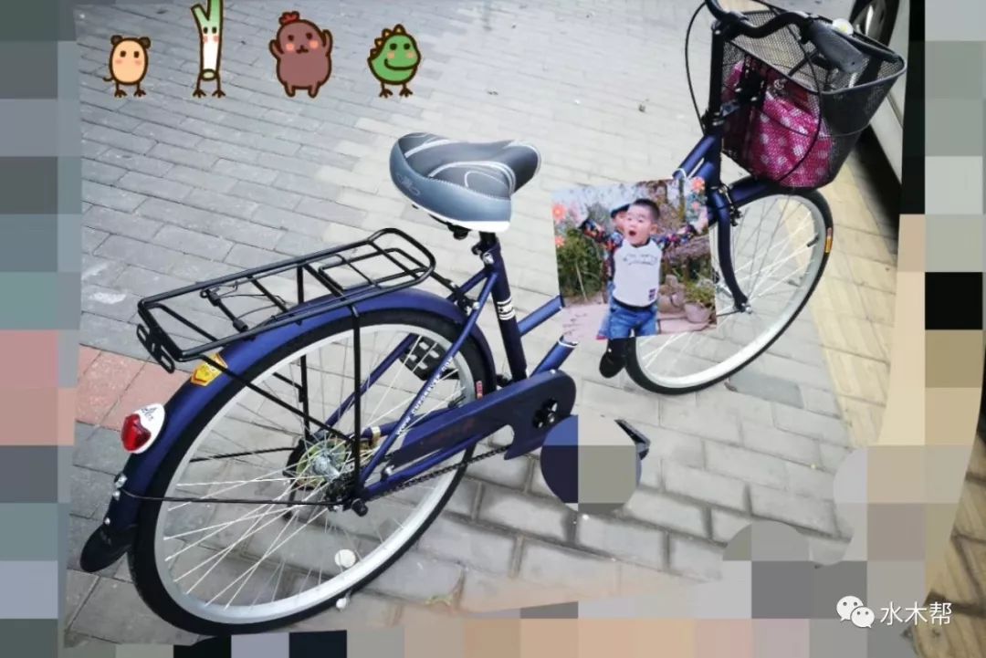 健身椅什么牌子好_健身椅推荐知乎_健身椅品牌