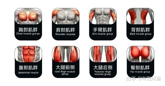 开yun体育官网入口登录app 疯拿铁、创思维、斯诺德、马西、军霞、卓牌、美力德、康强