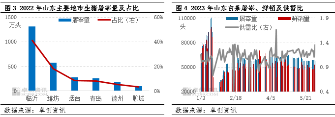 山东卓创资讯电话_山东卓创招聘2020_山东卓创资讯集团