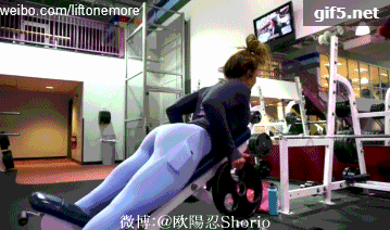 健身椅用法_健身椅使用_健身椅子使用方法视频