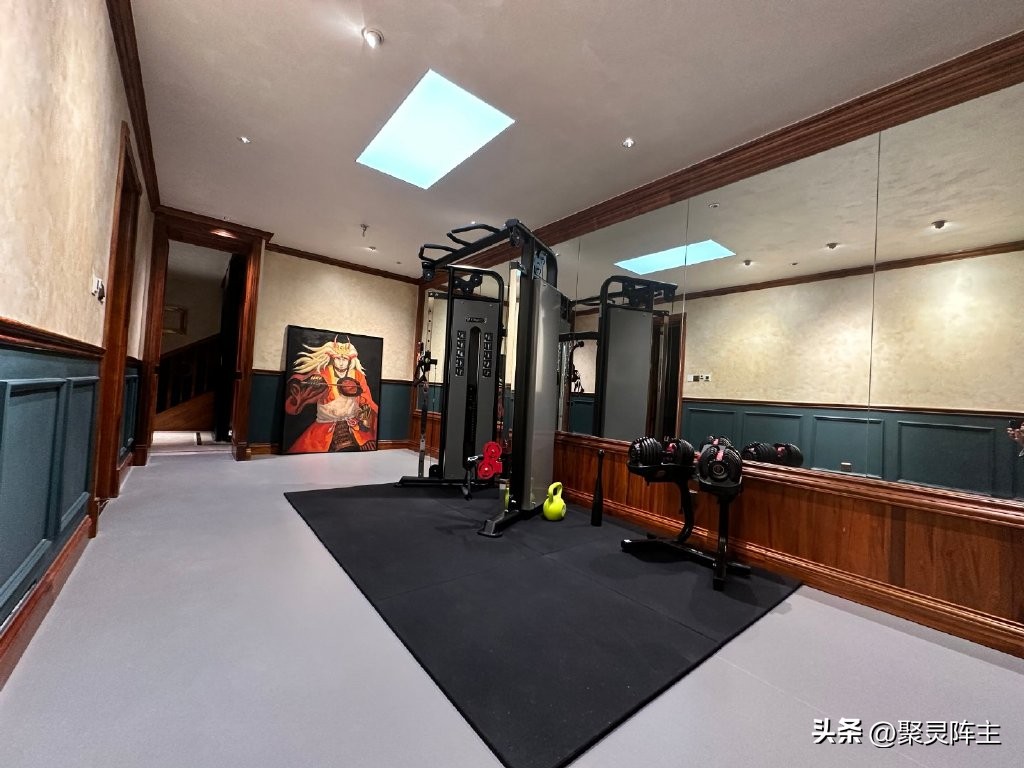 大飞鸟综合训练器_飞鸟器材标准姿势_飞鸟训练器训练哪个部位