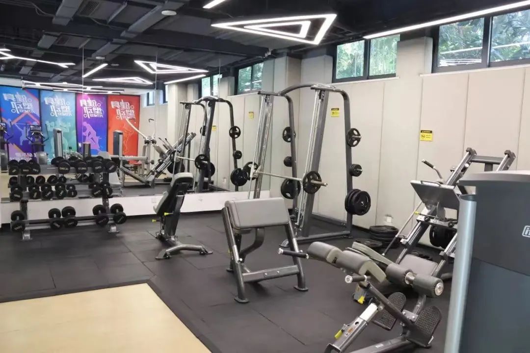 小飞鸟综合训练器安装视频_大飞鸟训练器安装图解_大飞鸟综合训练器