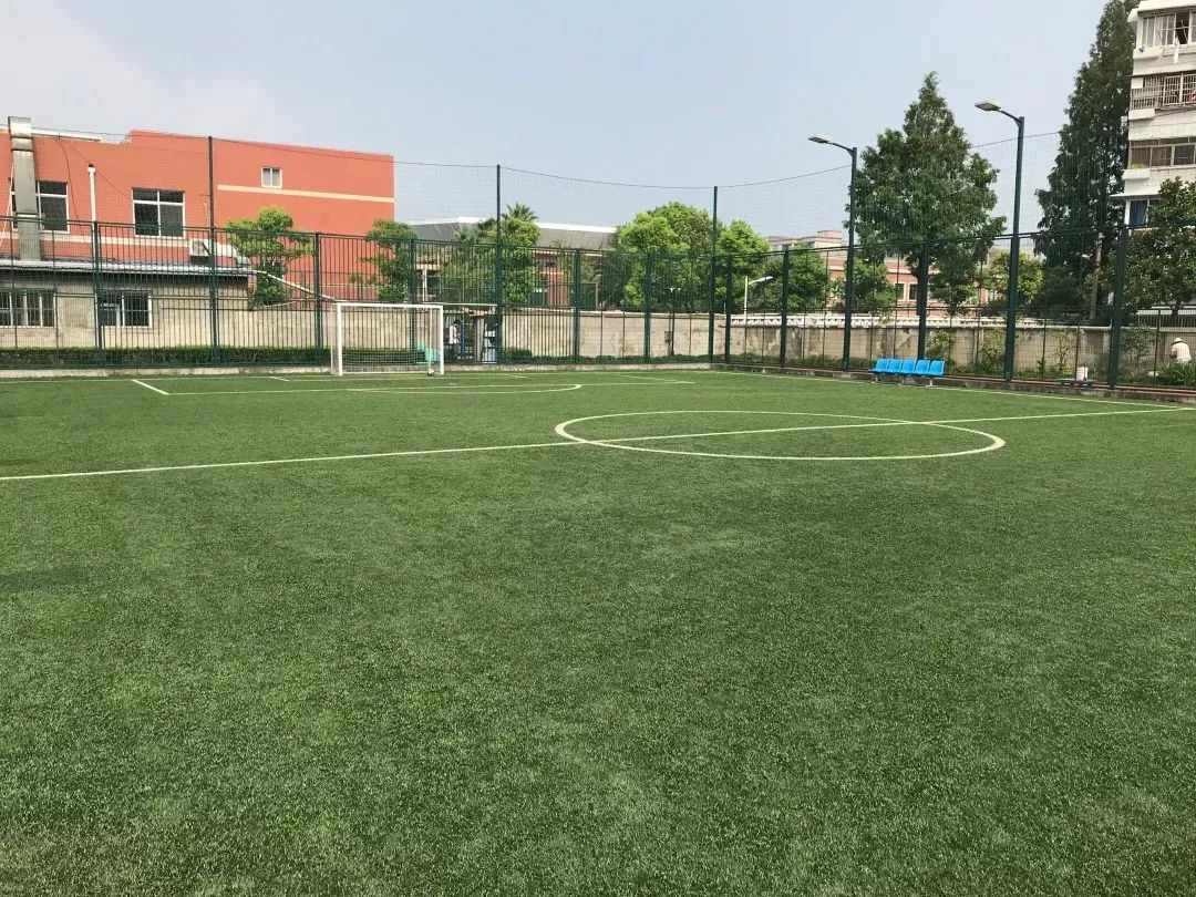小飞鸟综合训练器安装视频_大飞鸟训练器安装图解_大飞鸟综合训练器