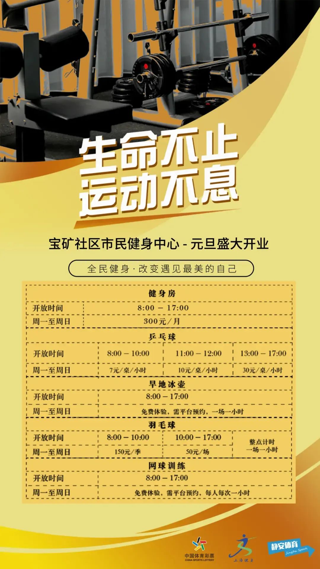 小飞鸟综合训练器安装视频_大飞鸟综合训练器_大飞鸟训练器安装图解