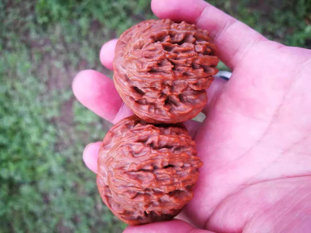 椅子健身_健身椅的好处_椅子锻炼身体