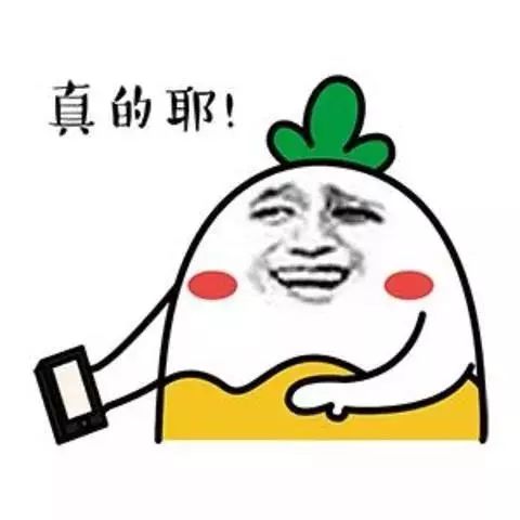 开yun体育app入口登录 健身房小白看过来，健身器材使用大盘点