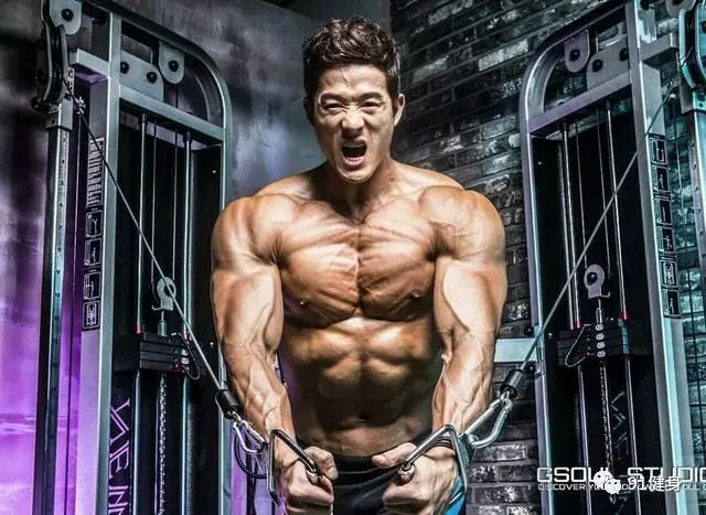 健身飞鸟动作视频频教学_飞鸟凳怎么使用_飞鸟健身椅