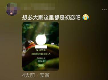 手机qq匿名消息查看器_QQ社交报告分析_QQ好友关系树