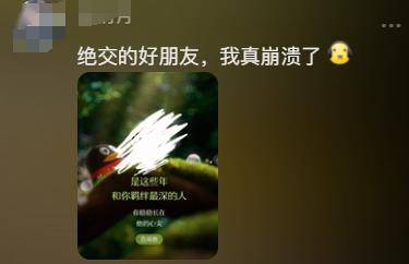 QQ社交报告分析_手机qq匿名消息查看器_QQ好友关系树