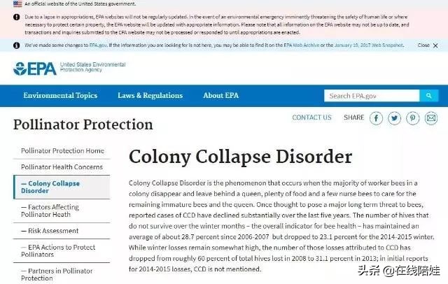 资讯网站排行_资讯类网站推荐_比较好的资讯网站