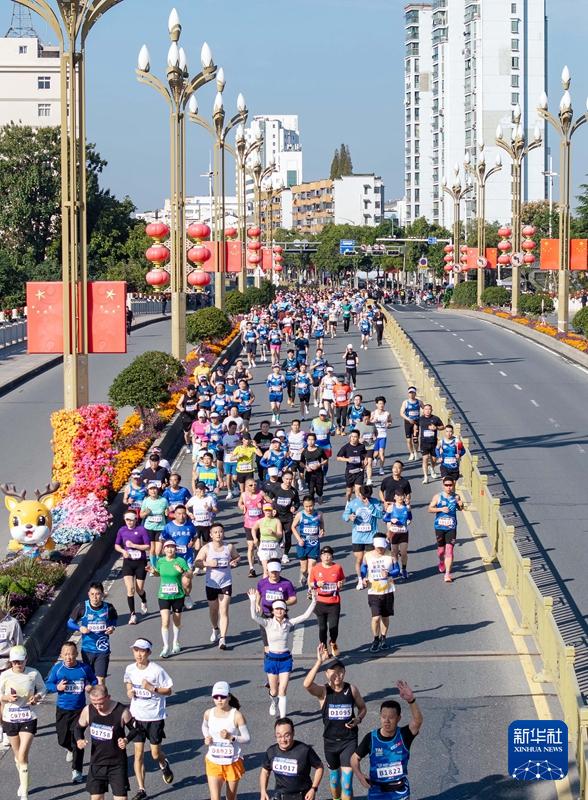五站综合训练器_怎样训练德国牧羊犬站训练视频_金话筒小主持人综合能力训练