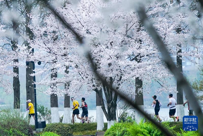 金话筒小主持人综合能力训练_五站综合训练器_怎样训练德国牧羊犬站训练视频