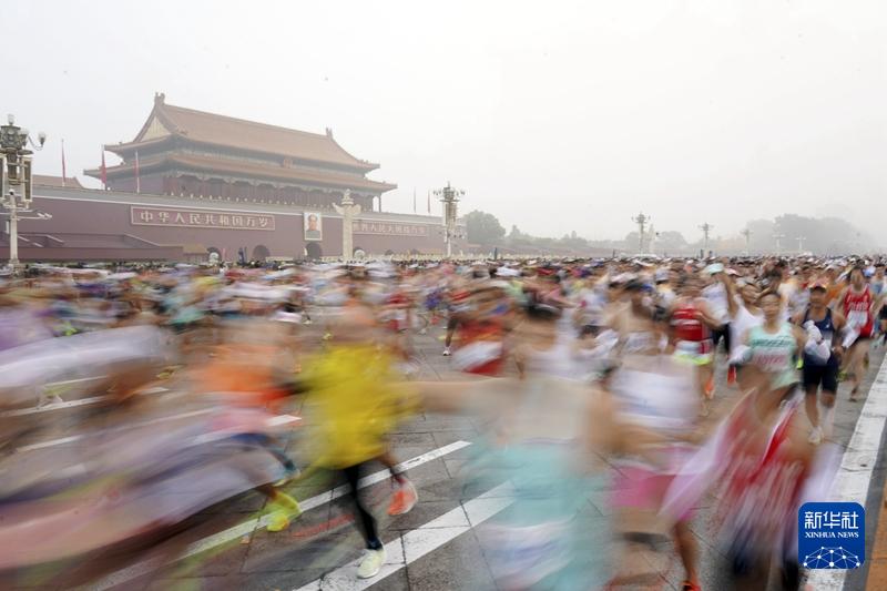 金话筒小主持人综合能力训练_五站综合训练器_怎样训练德国牧羊犬站训练视频